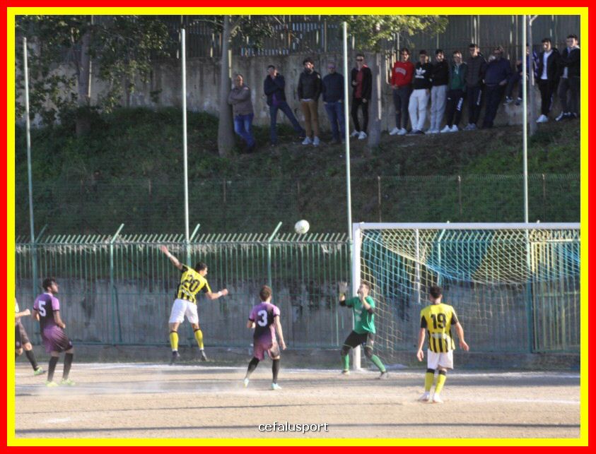 190310 Cephal_Torrenov 193_tn.jpg